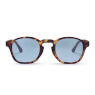 Sluneční brýle CHPO Gee Brown Blue 16133JA